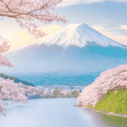 《 櫻前線二十四節氣介紹》